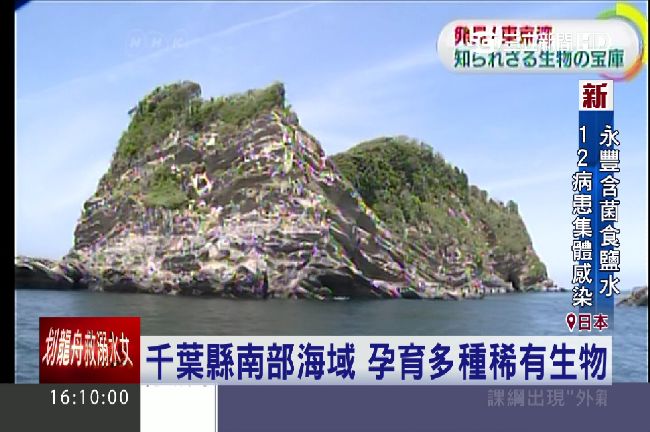 工業包圍的東京灣　暗藏潛水新樂園