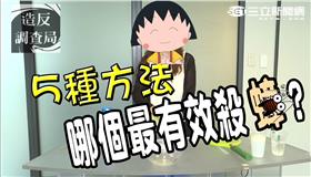 造反調查局－蟑螂篇