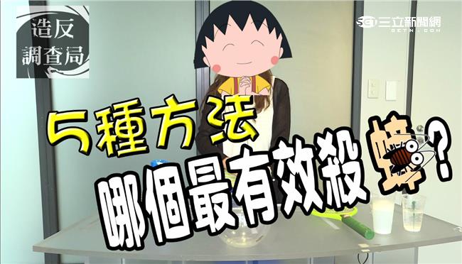 去去小強死！秒殺蟑螂就靠這一招