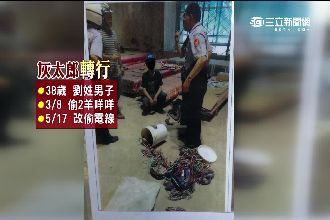 偷羊不成改偷電線　「灰太狼」爸遭逮