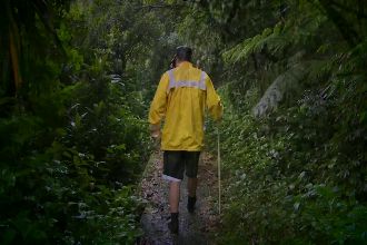 「年輕男牽引我！」老婦採筍離奇消失