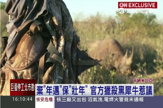 獵人合法追殺黑犀牛　竟是為保育？！