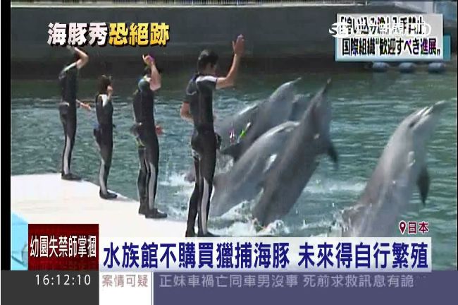 沒海豚秀了？WAZA警告將除名日本