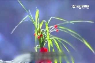 斷腸草含致命劇毒　誤食吃下肚沒解藥