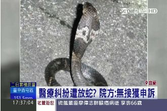 驚悚！「這玩意」躲醫院　護士都叫了