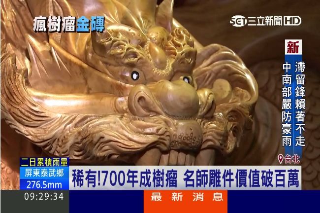 富豪瘋「樹瘤」！名師雕件價值破百萬