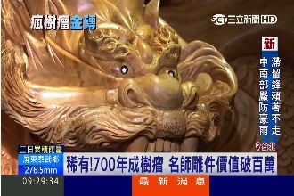 富豪瘋「樹瘤」！名師雕件價值破百萬