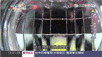 天無絕人之路！從遊民變身台南車燈王