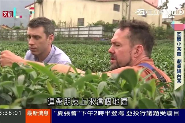 老外愛上台灣茶　搶銷國外搶商機