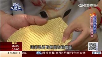 程錡勇闖異鄉養蜂　創亞洲蜂王霸業