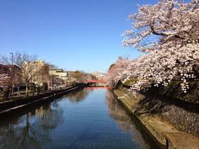 名家－周魚民的老闆