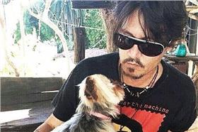 強尼戴普偷渡愛犬遭罰-每日郵報