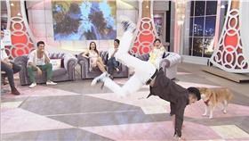 《SS小燕之夜》伊林名模－中天提供