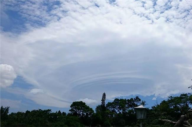 「飛碟雲」現蹤！鄭明典：氣溫續飆高