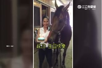 萌馬兒慶生開趴　吹完蠟燭後牠竟笑了