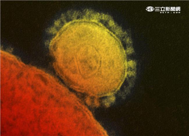 醫生染MERS還亂跑　恐殃及上千人
