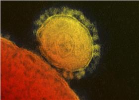 南韓,MERS,新SARS,隔離（圖／路透社／達志影像）
