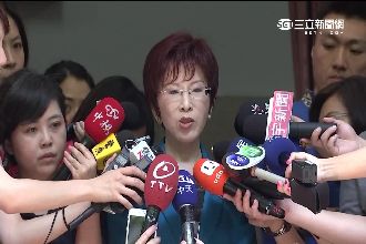 開啟徵召？洪秀柱：別再凌遲天王了