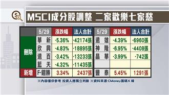 MSCI調整今生效　二家歡樂七家愁