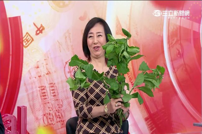 吃一片南非葉可保肝？真相讓人震驚了