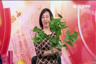 吃一片南非葉可保肝？真相讓人震驚了