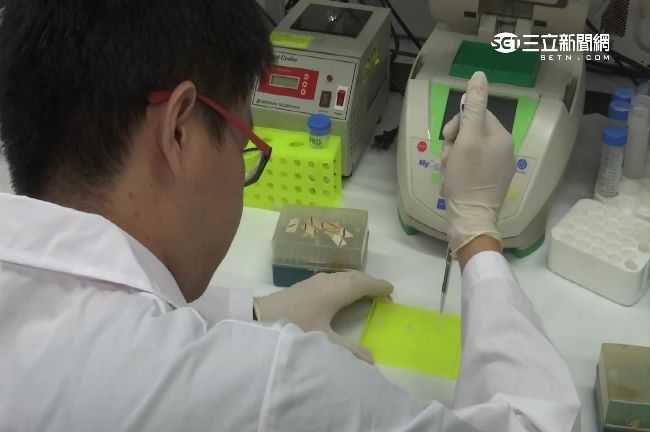 MERS有救？興大研發新藥再現曙光