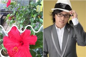 唐從聖認為有時當個稱職的綠葉也不錯。（圖／翻攝自唐從聖臉書／合成）