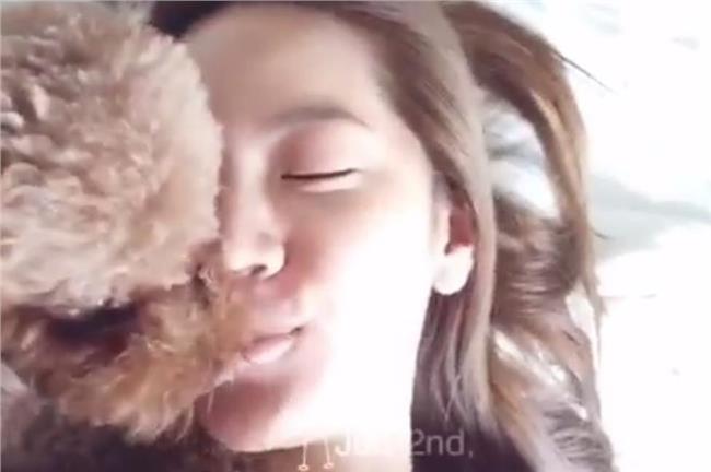 曾之喬又吻又舔狗寶貝　謝佳見吃醋啦