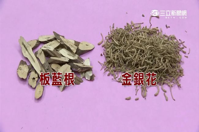 MERS有救？坊間狂傳金銀花抗病毒