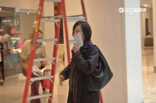 小英嫂嫂首曝光！陪出訪當貼身小祕書