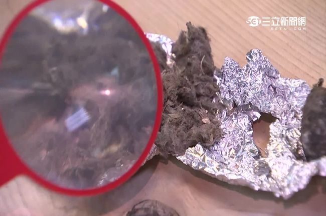 超夯的「嘔吐物」　一顆要價上千元