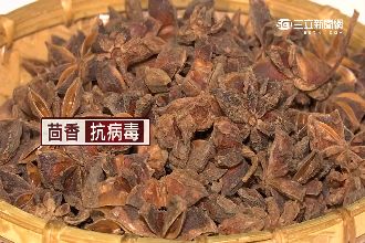 防MERS靠它？傳大茴香可抗病毒