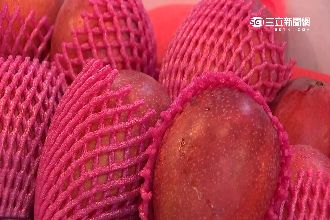 台灣芒果賺很大　外銷產值預估破5億