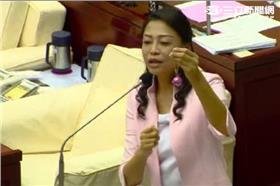 闕枚莎,市政總質詢
