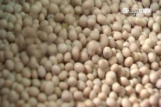 你吃對了嗎？教你辨別是不是基改黃豆