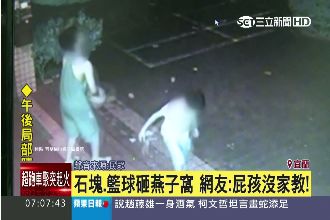 籃球砸燕子窩　網友：屁孩沒家教