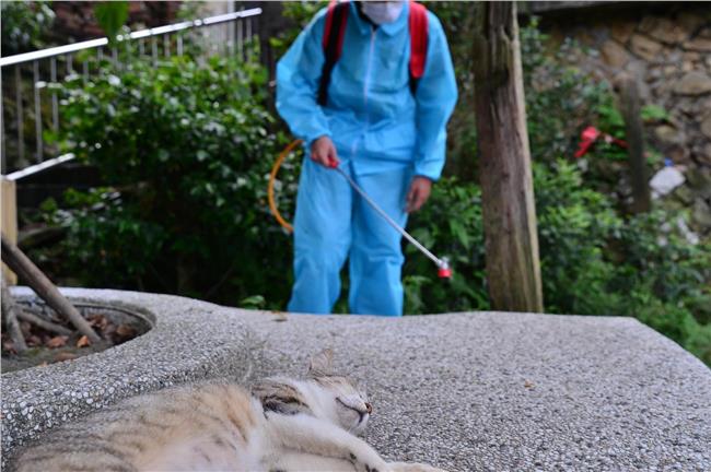 貓口普查！猴硐全村進行TNVR