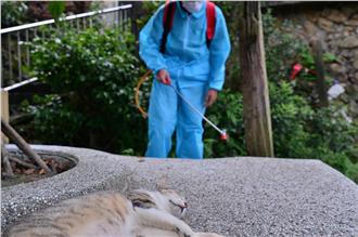 貓口普查！猴硐全村進行TNVR