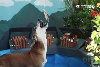 香腸也趕恐龍熱！侏儸紀世界被惡搞