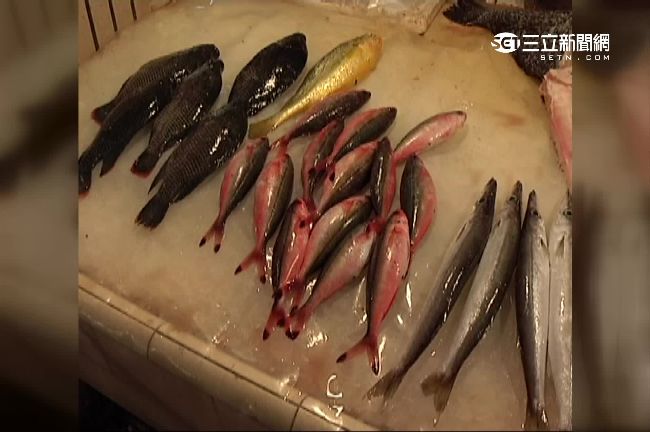 天啊！中研院：40年後恐吃不到海鮮