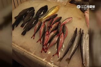 天啊！中研院：40年後恐吃不到海鮮