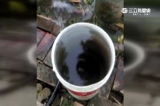 榮成紙廠染黑地下水？居民上街怒吼