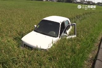 貴桑桑！為趕蚊　駕駛衝稻田賠4千