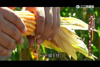 消失的國界傳捷報！獲吳舜文獎肯定