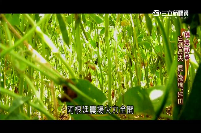 基改糧倉！阿根廷成「解救飢荒」救星