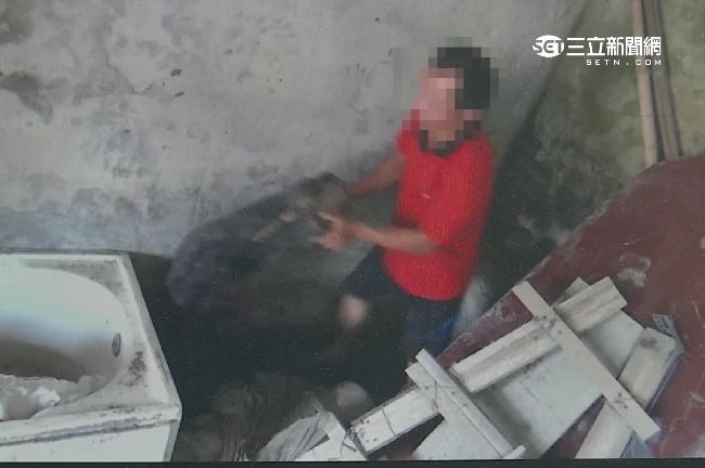 不怕半夜拉腳嗎？男夜闖墓仔埔盜龍柏