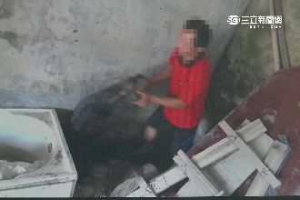 不怕半夜拉腳嗎？男夜闖墓仔埔盜龍柏