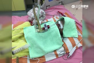 男嬰罕見心臟病　柯P請台大全力相助