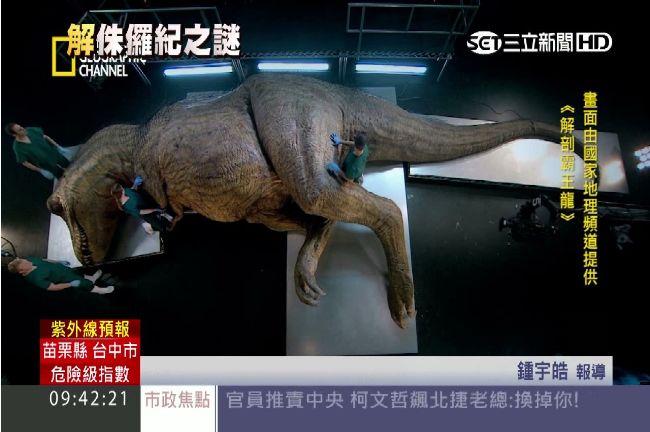 牙齒有如匕首長！ 科學家解剖霸王龍