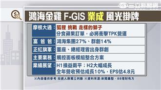 挑戰TPK龍頭地位　GIS來勢洶洶